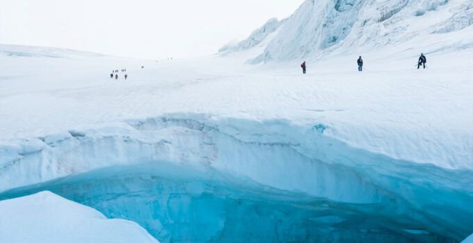 Arctic