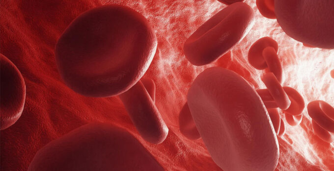 Artery