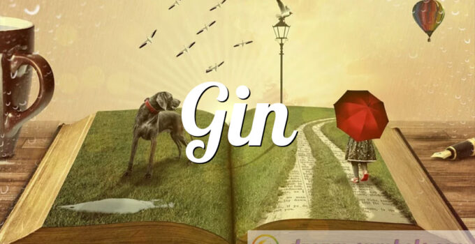 Gin