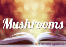 Mushrooms