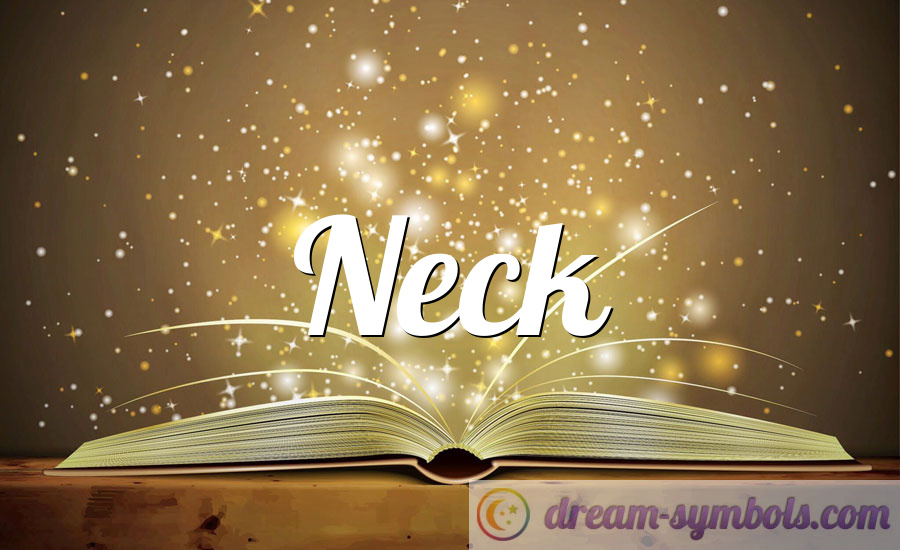 Neck