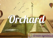 Orchard