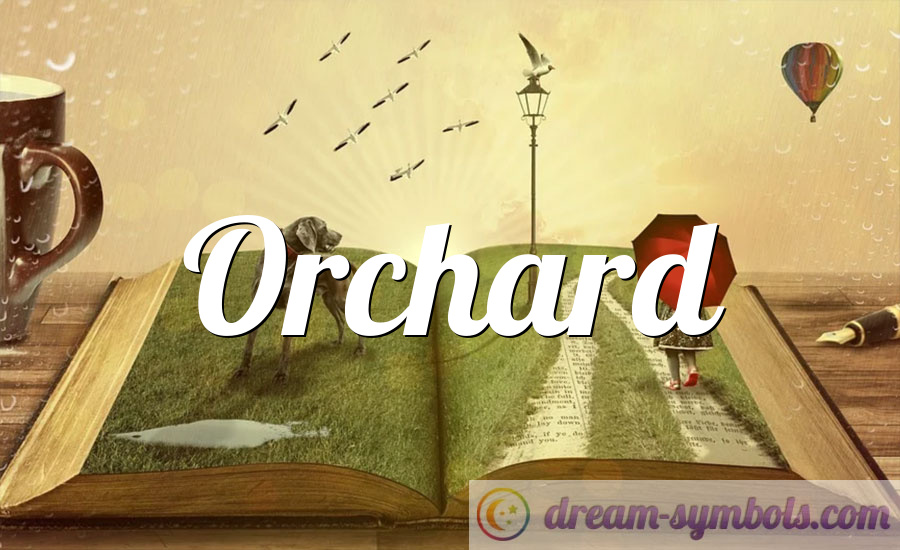 Orchard