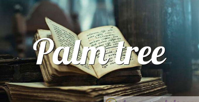 Palm tree