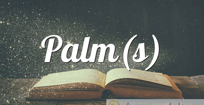 Palm(s)