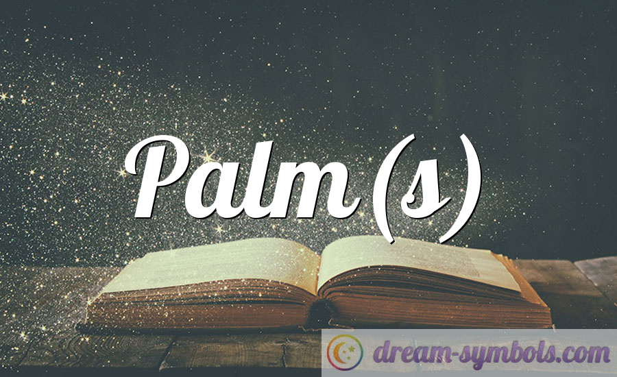 Palm(s)