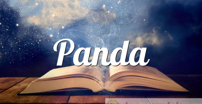 Panda