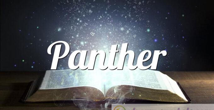 Panther