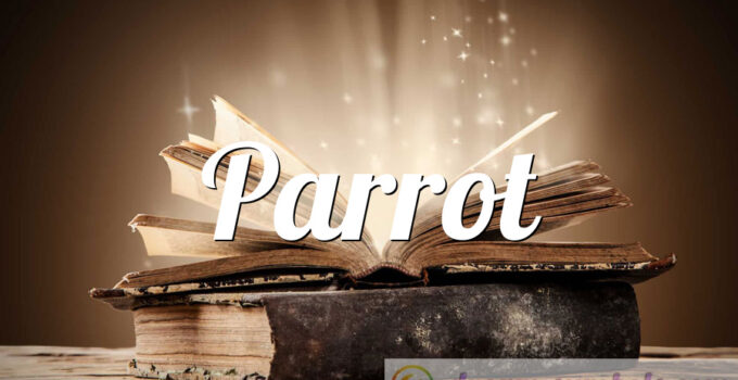 Parrot