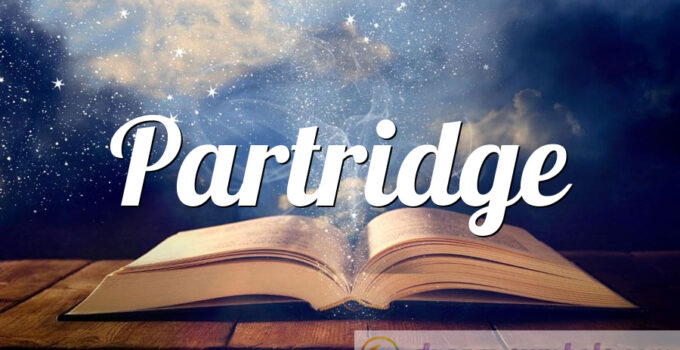 Partridge