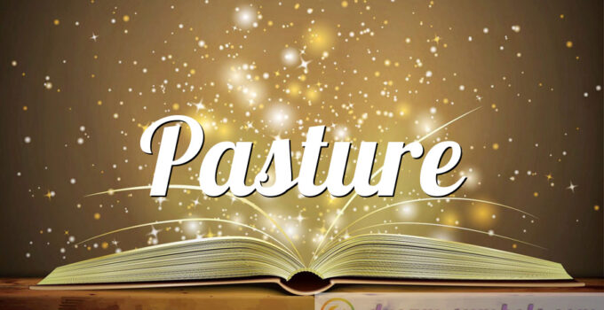 Pasture