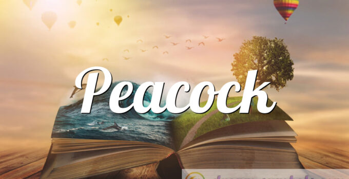Peacock