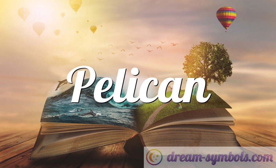 Pelican