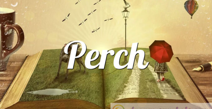 Perch