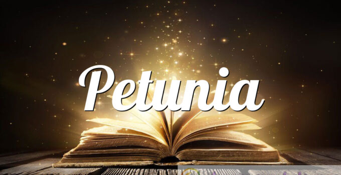 Petunia