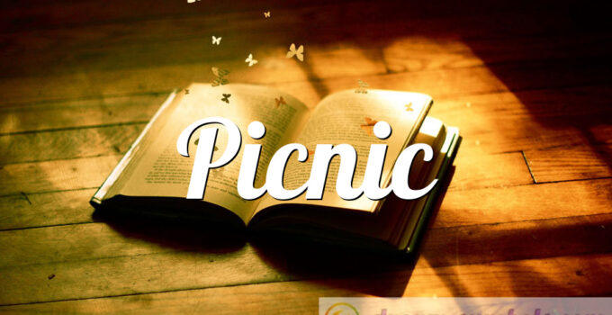 Picnic