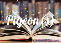 Pigeon(s) Pigeon(s)