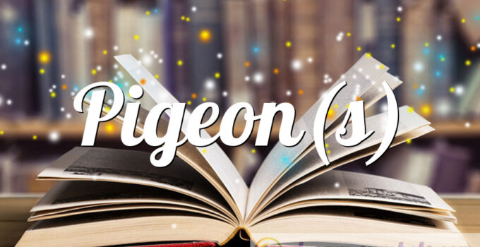 Pigeon(s)