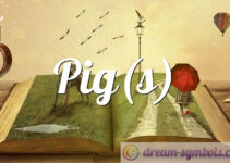 Pig(s)