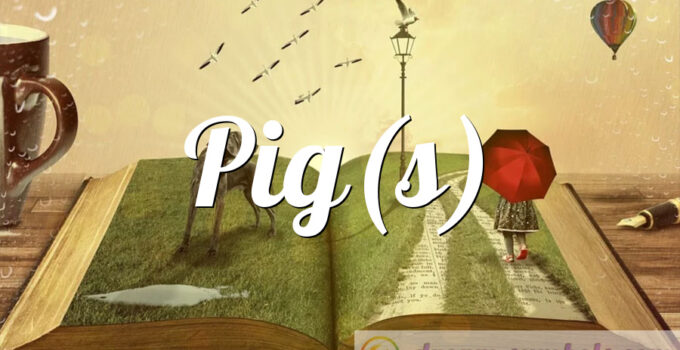 Pig(s)