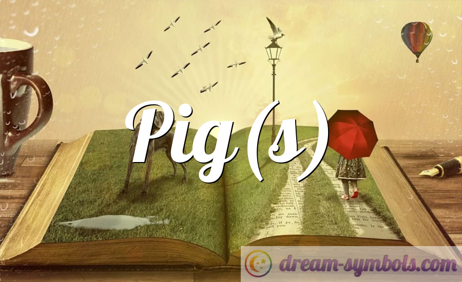 Pig(s)