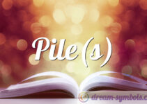 Pile(s)