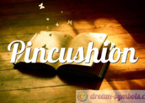 Pincushion Pincushion