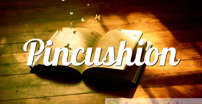 Pincushion
