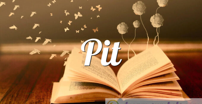 Pit