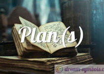 Plan(s)