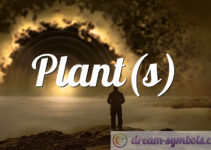 Plant(s)