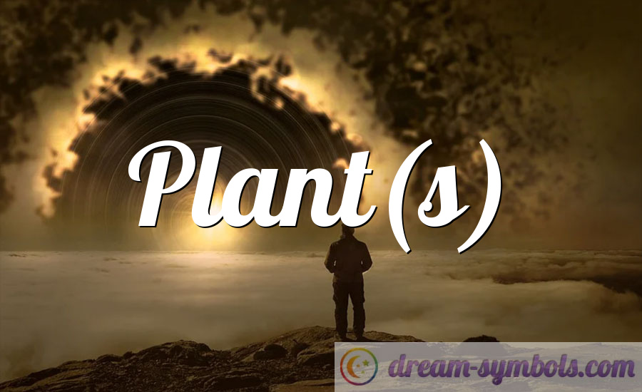 Plant(s)