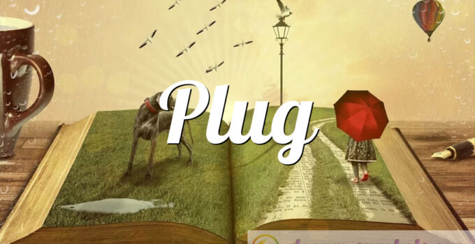 Plug