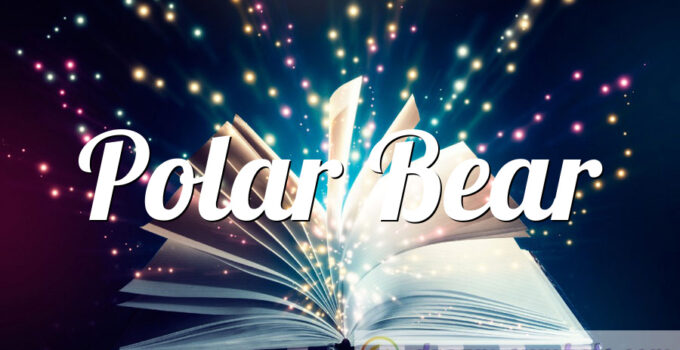 Polar Bear