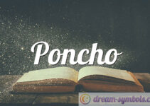 Poncho