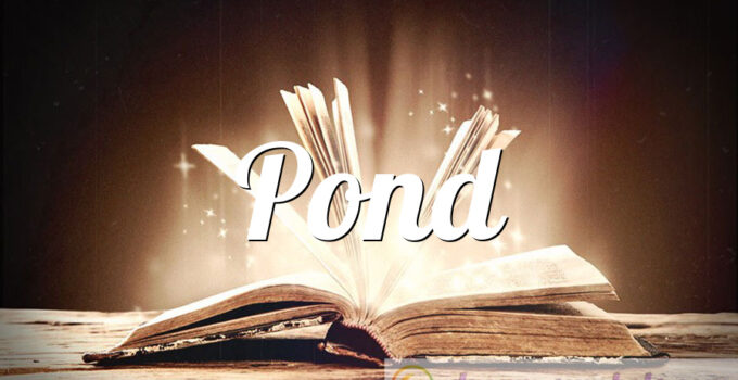 Pond
