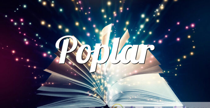 Poplar