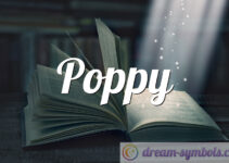 Poppy