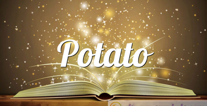 Potato