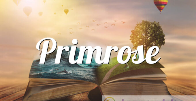 Primrose