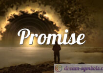 Promise