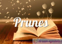 Prunes Prunes