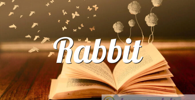 Rabbit