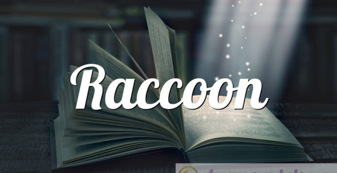 Raccoon