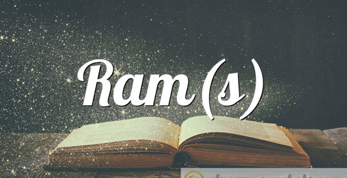 Ram(s)