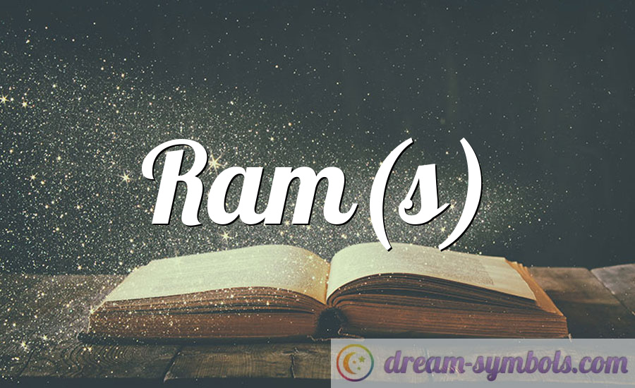Ram(s)