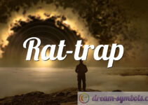 Rat-trap
