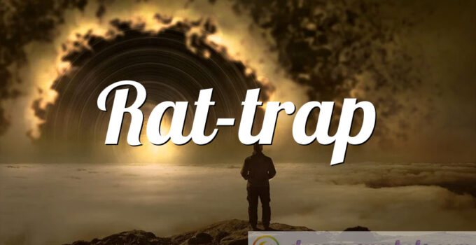 Rat-trap