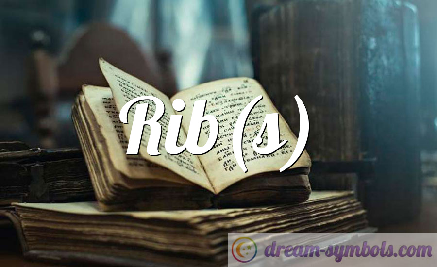 Rib(s)