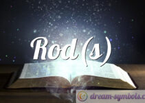 Rod(s)
